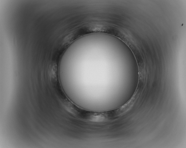 X0000116290175200912071218