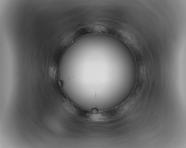 X0000116290177200912071218