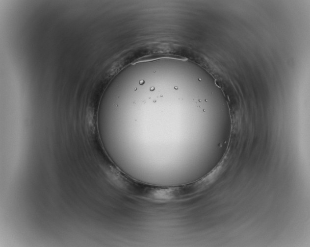 X0000116290178200912071218