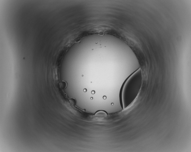 X0000116290182200912071218