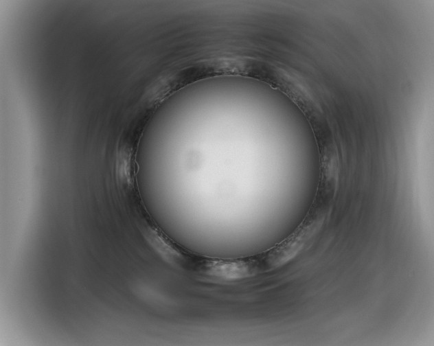 X0000116290185200912071218