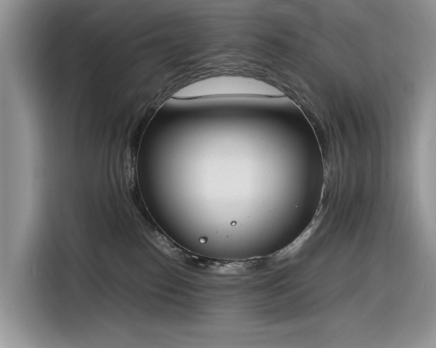 X0000116290186200912071218