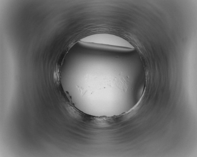 X0000116290190200912071218