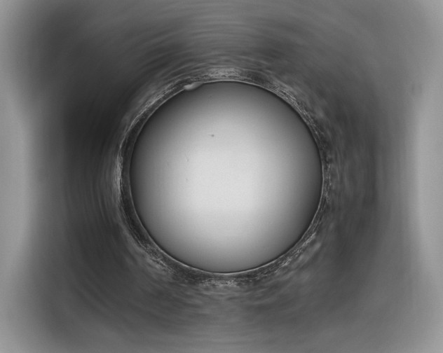 X0000116290194200912071218