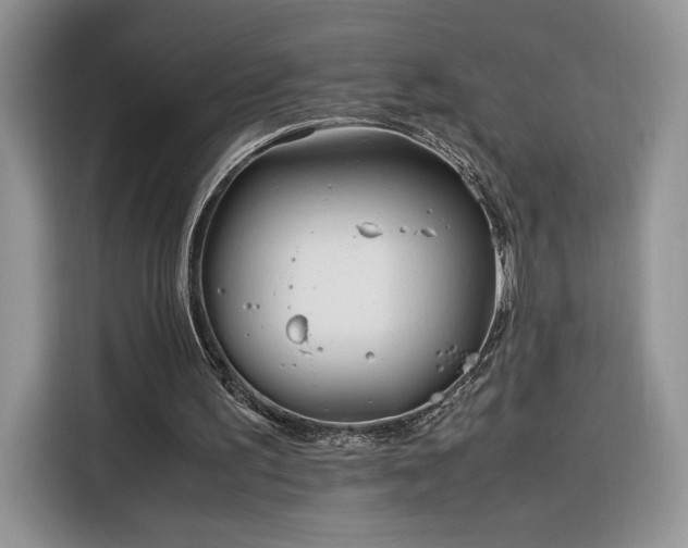 X0000116290195200912071218