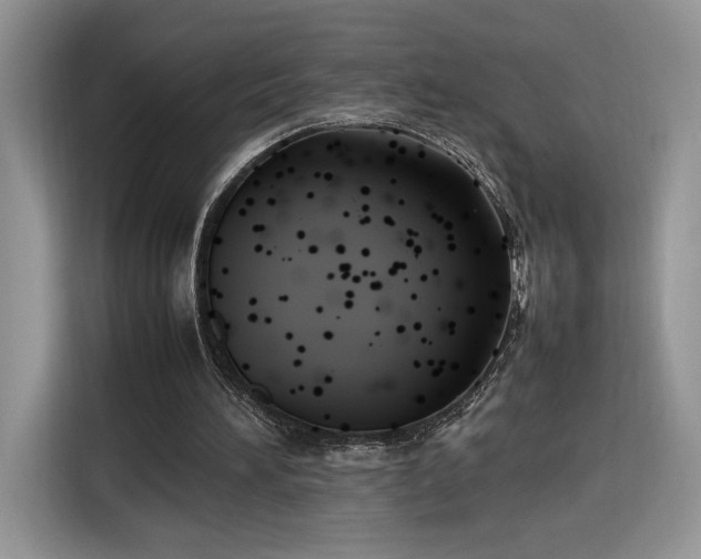 X0000116290196200912071218