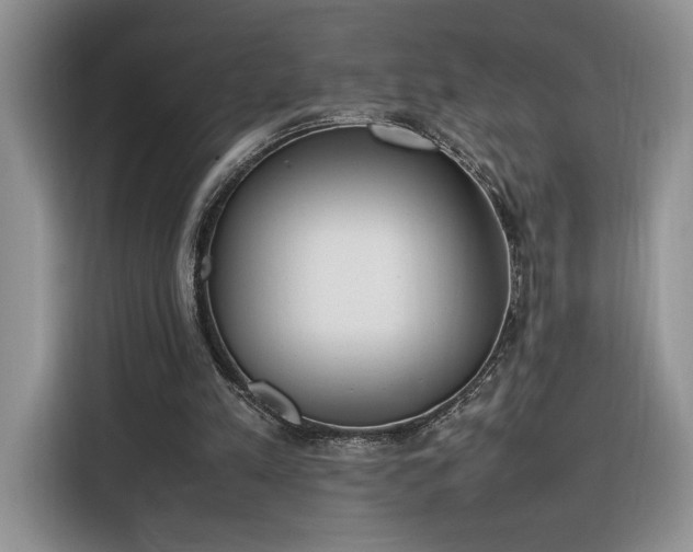 X0000116290197200912071218