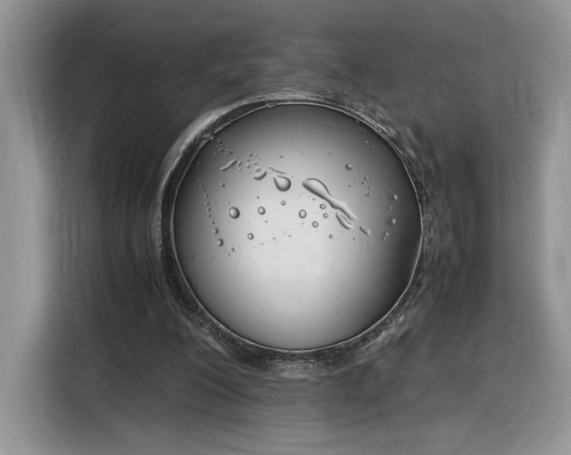 X0000116290200200912071217