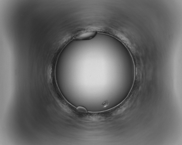 X0000116290201200912071217