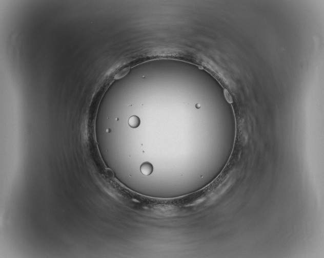 X0000116290203200912071217