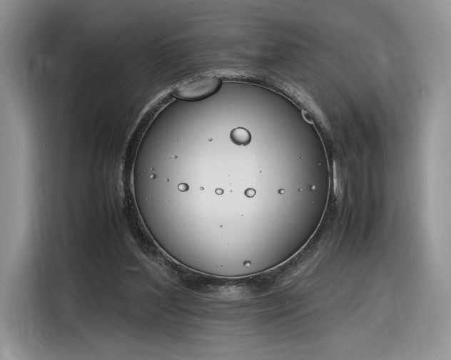 X0000116290204200912071217