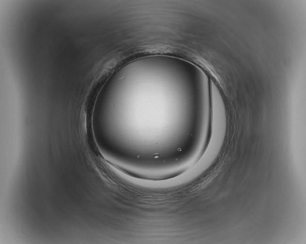 X0000116290205200912071217