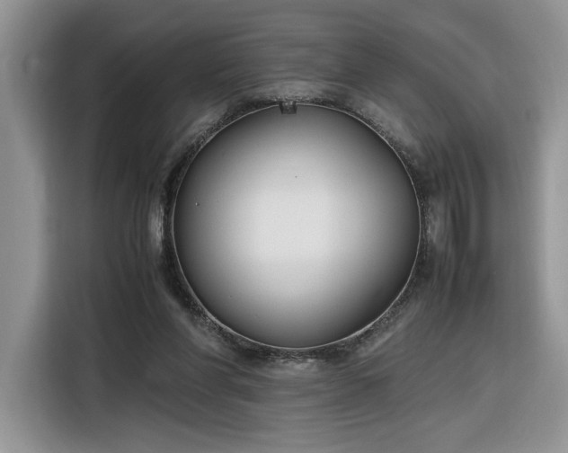 X0000116290206200912071217