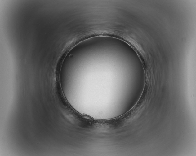 X0000116290207200912071217