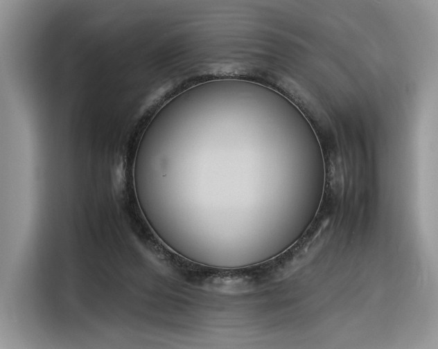 X0000116290208200912071217