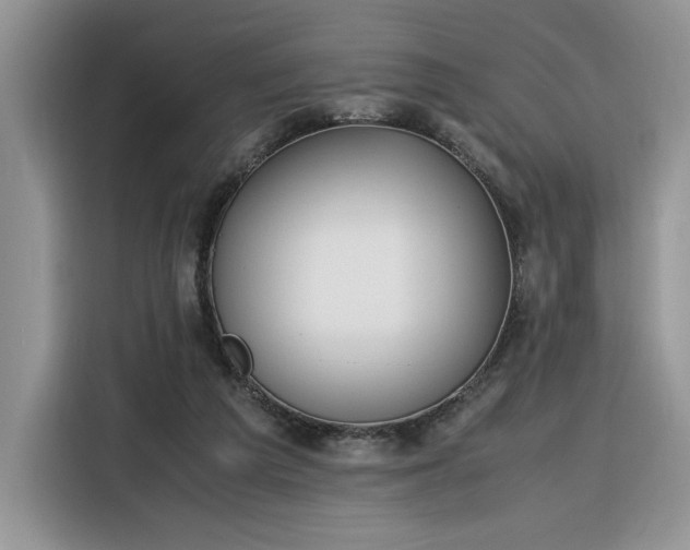 X0000116290209200912071217