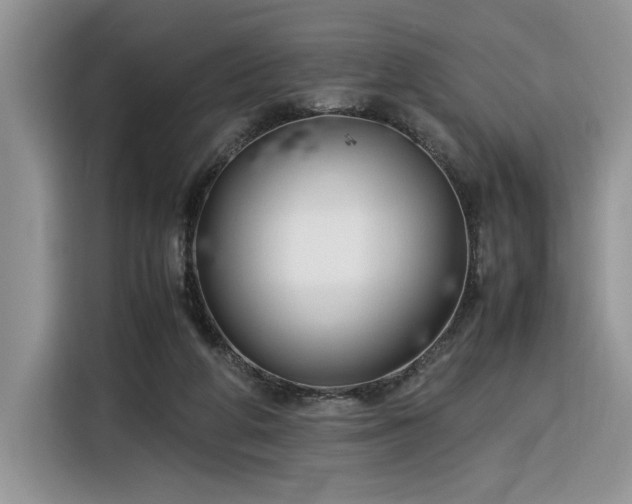 X0000116290210200912071217