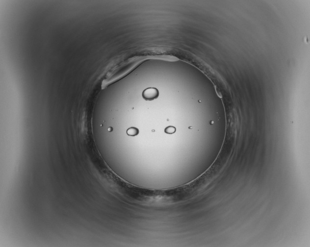 X0000116290212200912071217