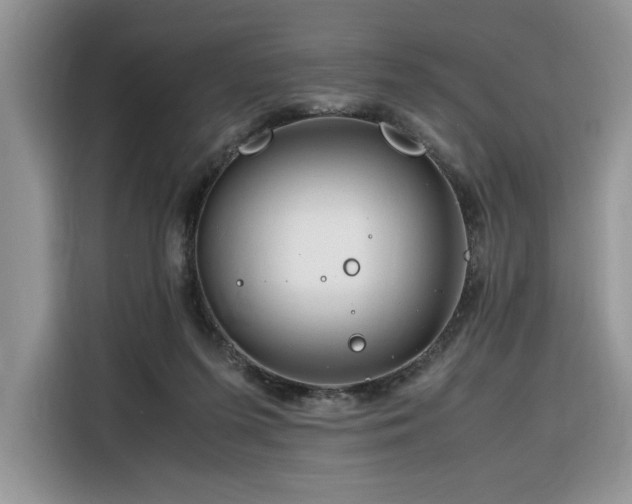 X0000116290215200912071217