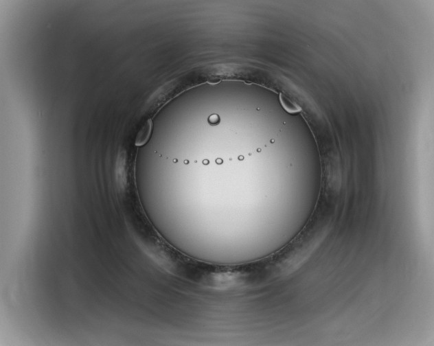 X0000116290216200912071217