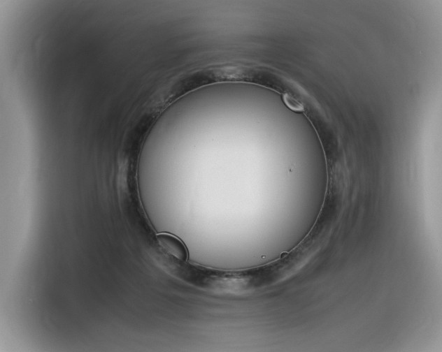 X0000116290217200912071217