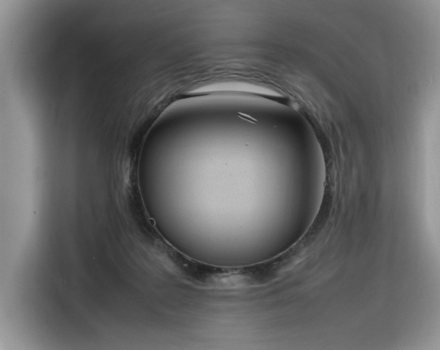 X0000116290219200912071217