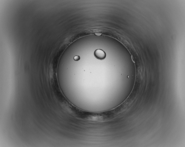 X0000116290220200912071217