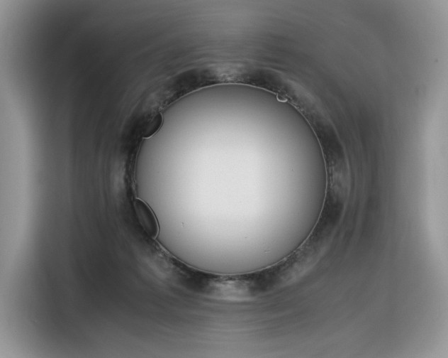 X0000116290221200912071217