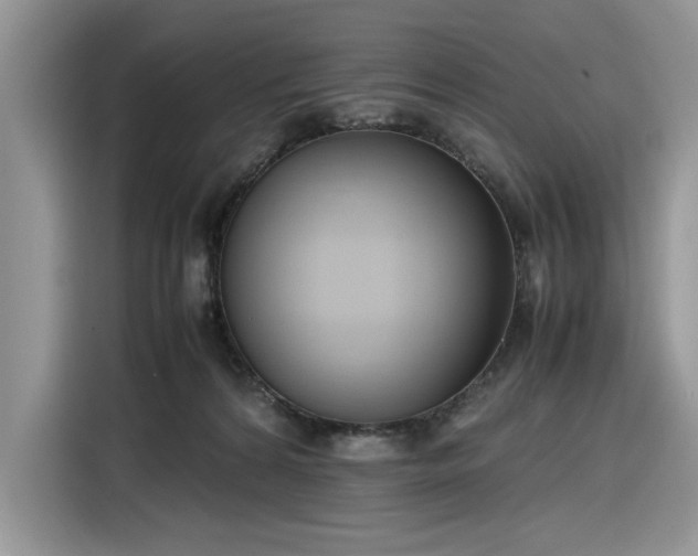 X0000116290224200912071217