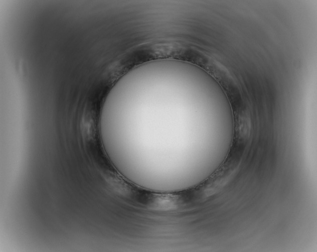 X0000116290226200912071217