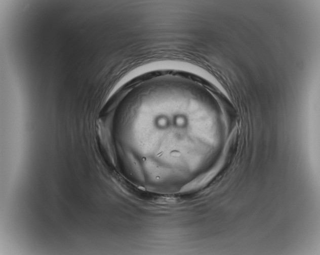 X0000116290227200912071217