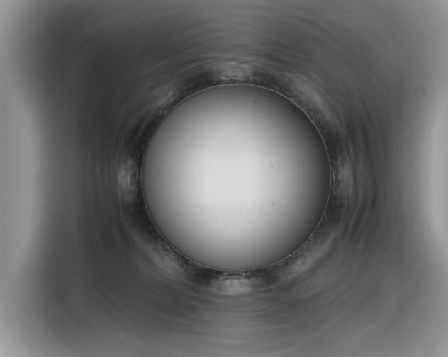 X0000116290228200912071217