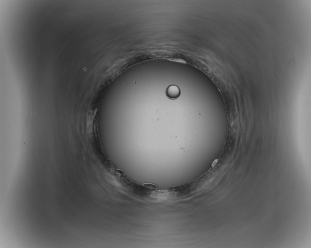 X0000116290231200912071217