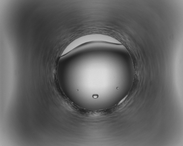 X0000116290235200912071217