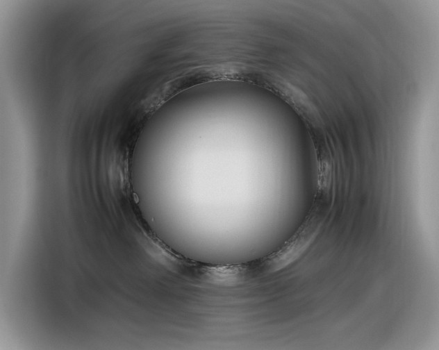 X0000116290238200912071217