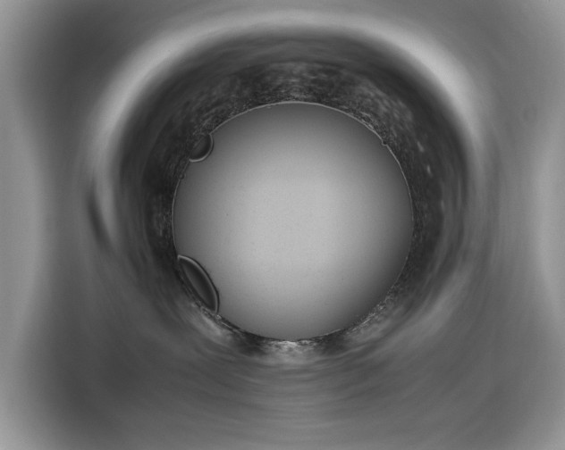 X0000116290239200912071217