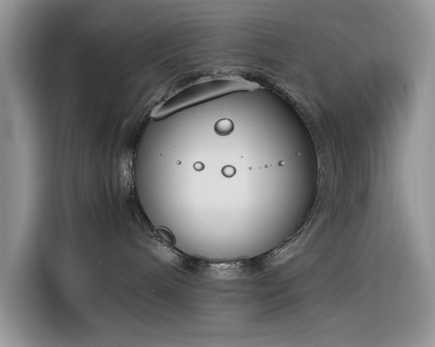 X0000116290240200912071217