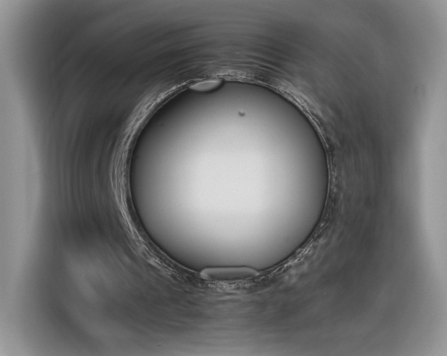 X0000116290241200912071216