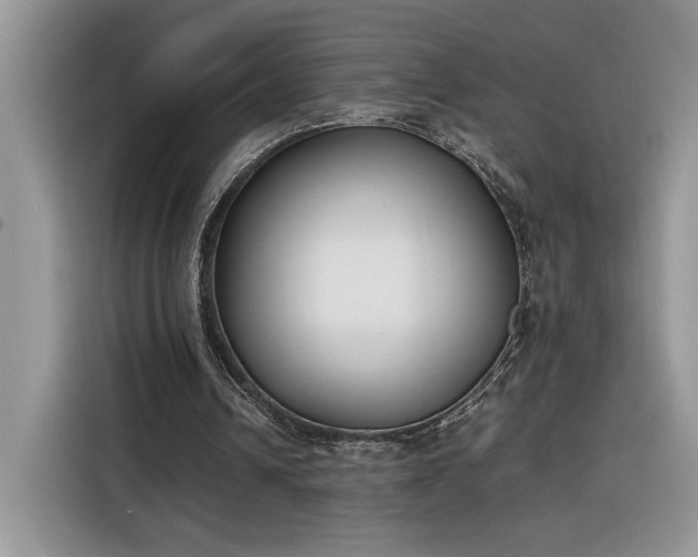 X0000116290242200912071216