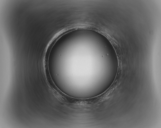 X0000116290244200912071216