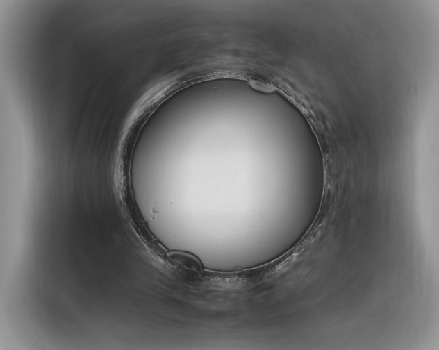 X0000116290245200912071216