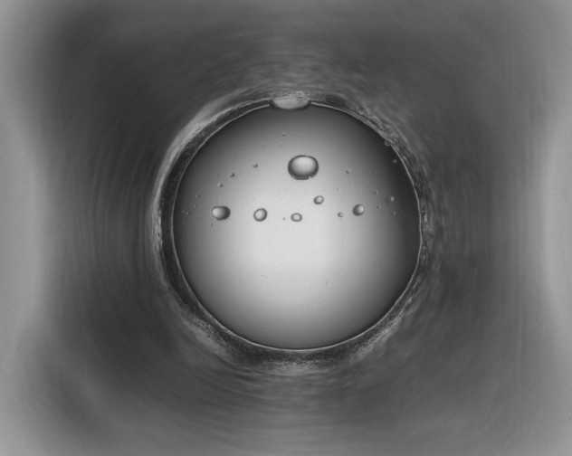 X0000116290246200912071216