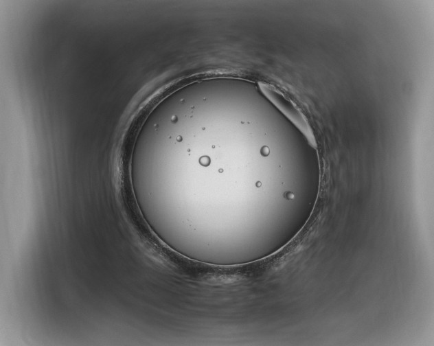 X0000116290247200912071216