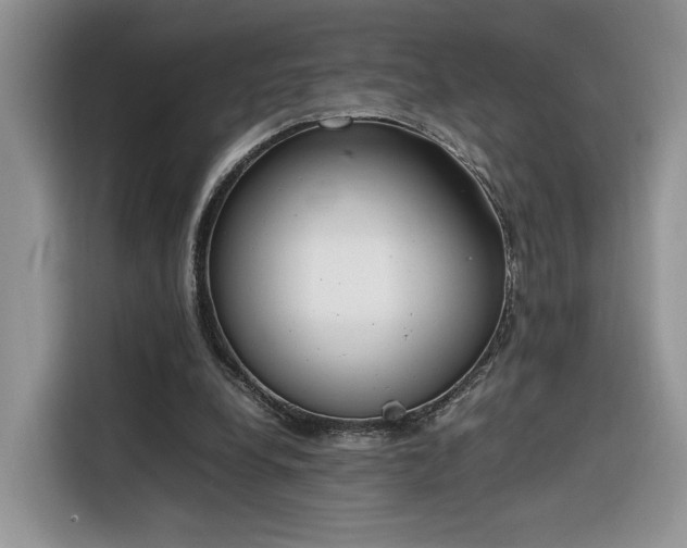 X0000116290248200912071216