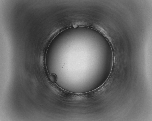 X0000116290249200912071216