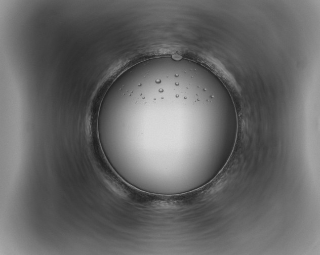 X0000116290250200912071216