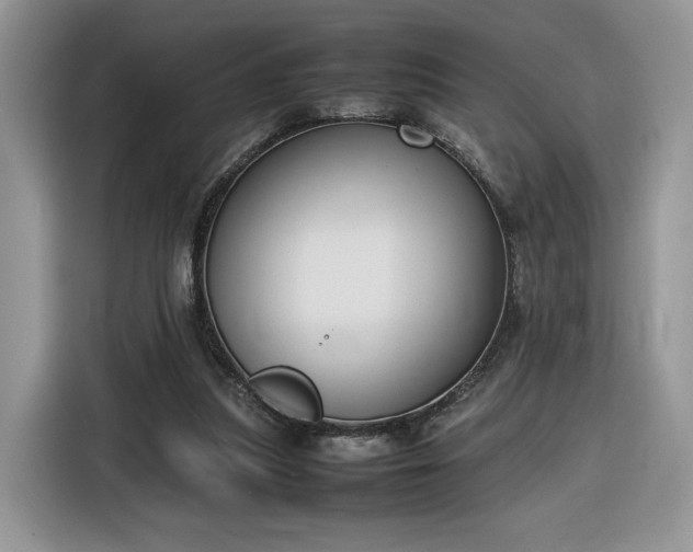 X0000116290251200912071216