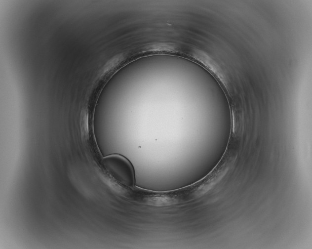 X0000116290253200912071216