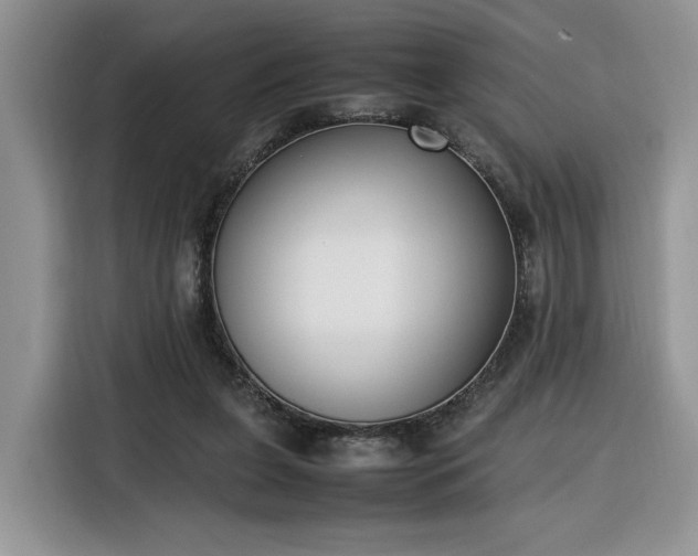 X0000116290255200912071217