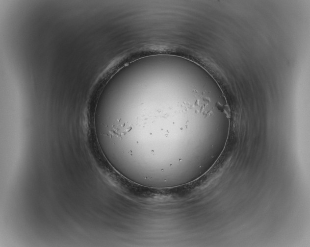 X0000116290256200912071217